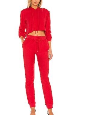 Danielle Guizio Red Tracksuit Cropped Hoodie & Skinny Joggers Pants New. Size XS